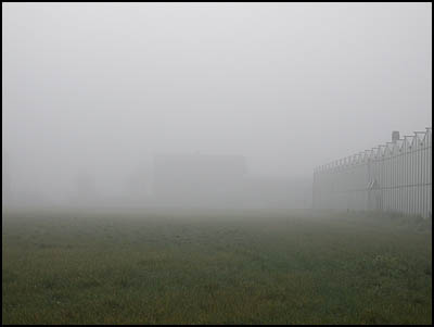 Mist (21k image)
