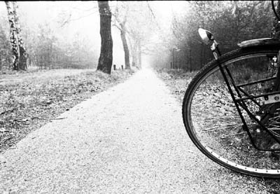 de fiets (35k image)