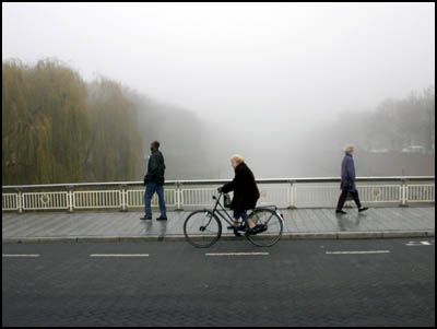 In de mist (29k image)