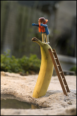 banaan (35k image)