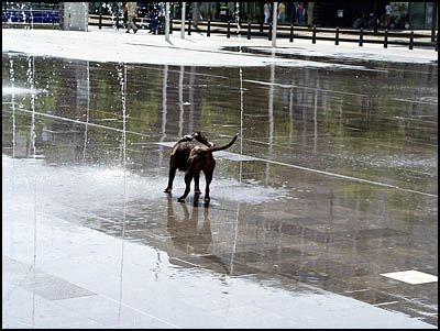 fonteinen (38k image)