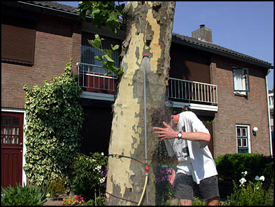vierdaagse2003-06 (47k image)