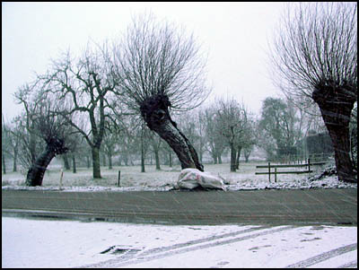 winter (49k image)